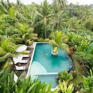 Alamdini Resort Ubud